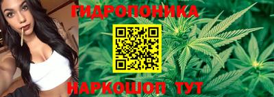 твердый Коммунар