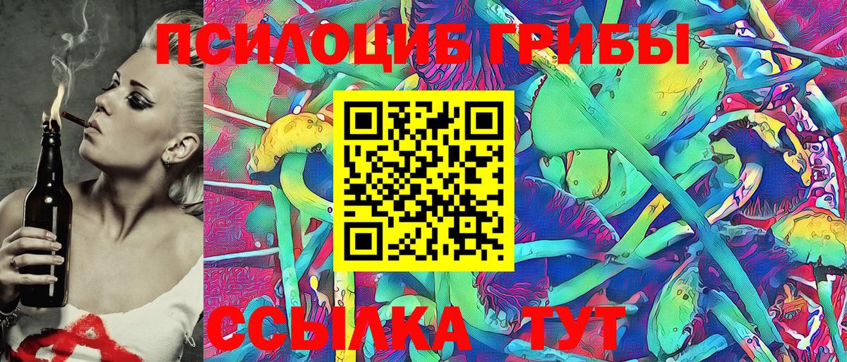 Галлюциногенные грибы Psilocybe Кудымкар