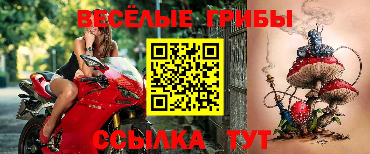 Кудымкар  Галлюциногенные грибы Magic Shrooms  Вход с VPN 